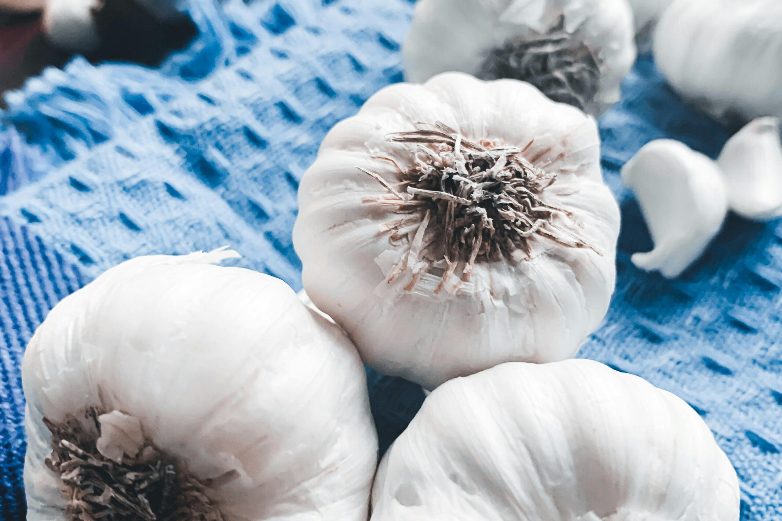 Garlic in Traditional Medicine: Ancient Healing Wisdom