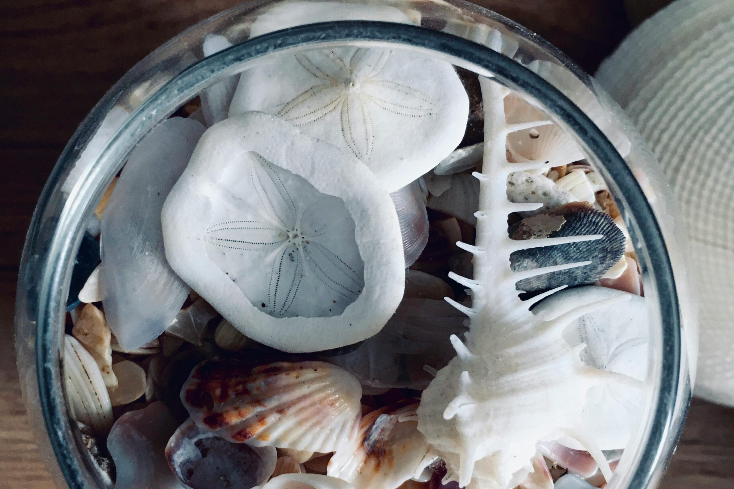 Making Garlic Infused Oil: A Simple DIY Guide