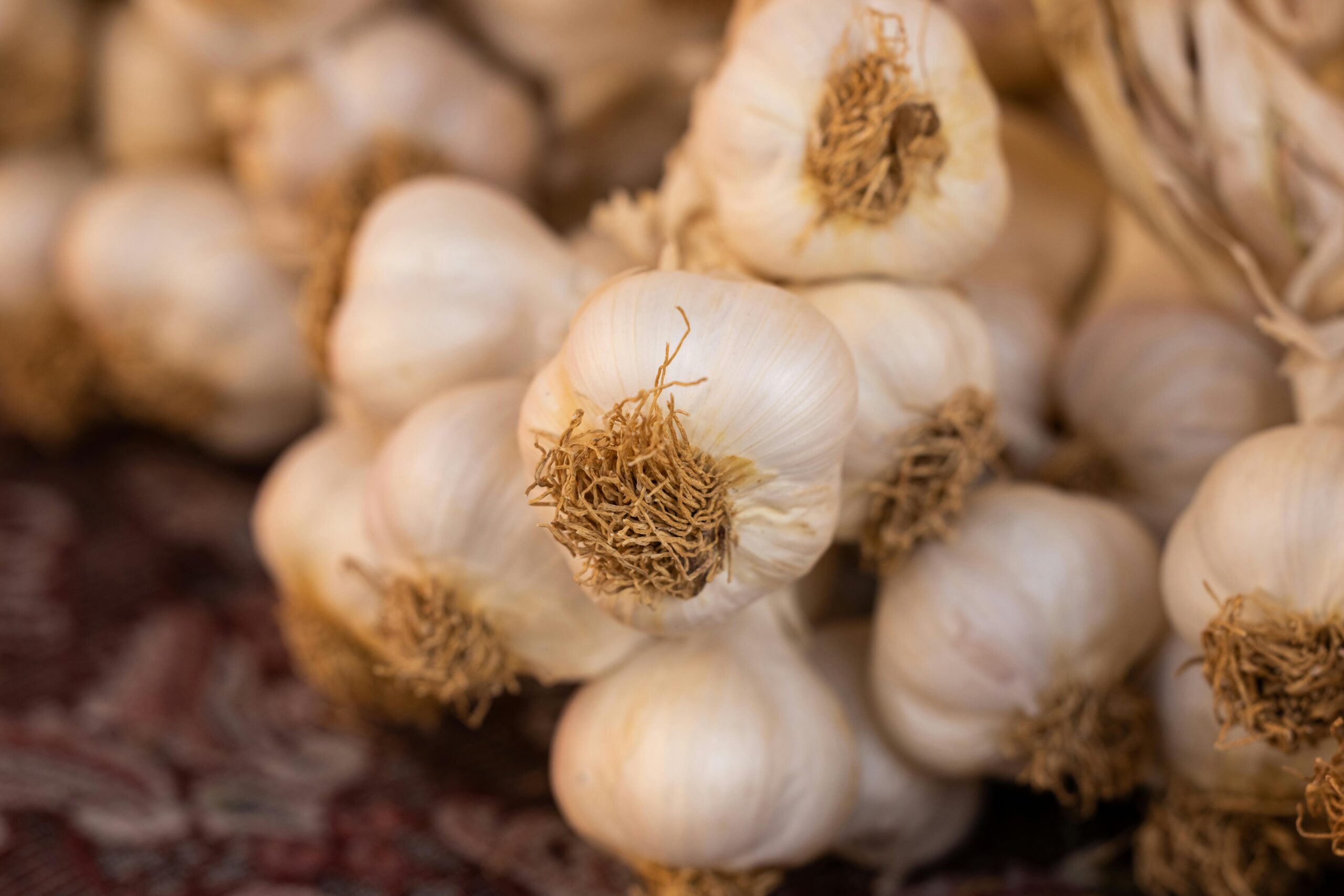 Garlic Storage Tips for Freshness