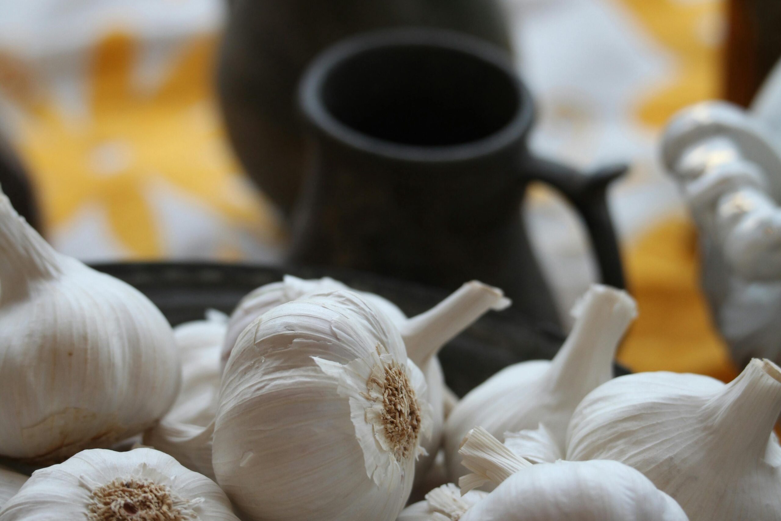Creative Garlic Recipes from Around the World