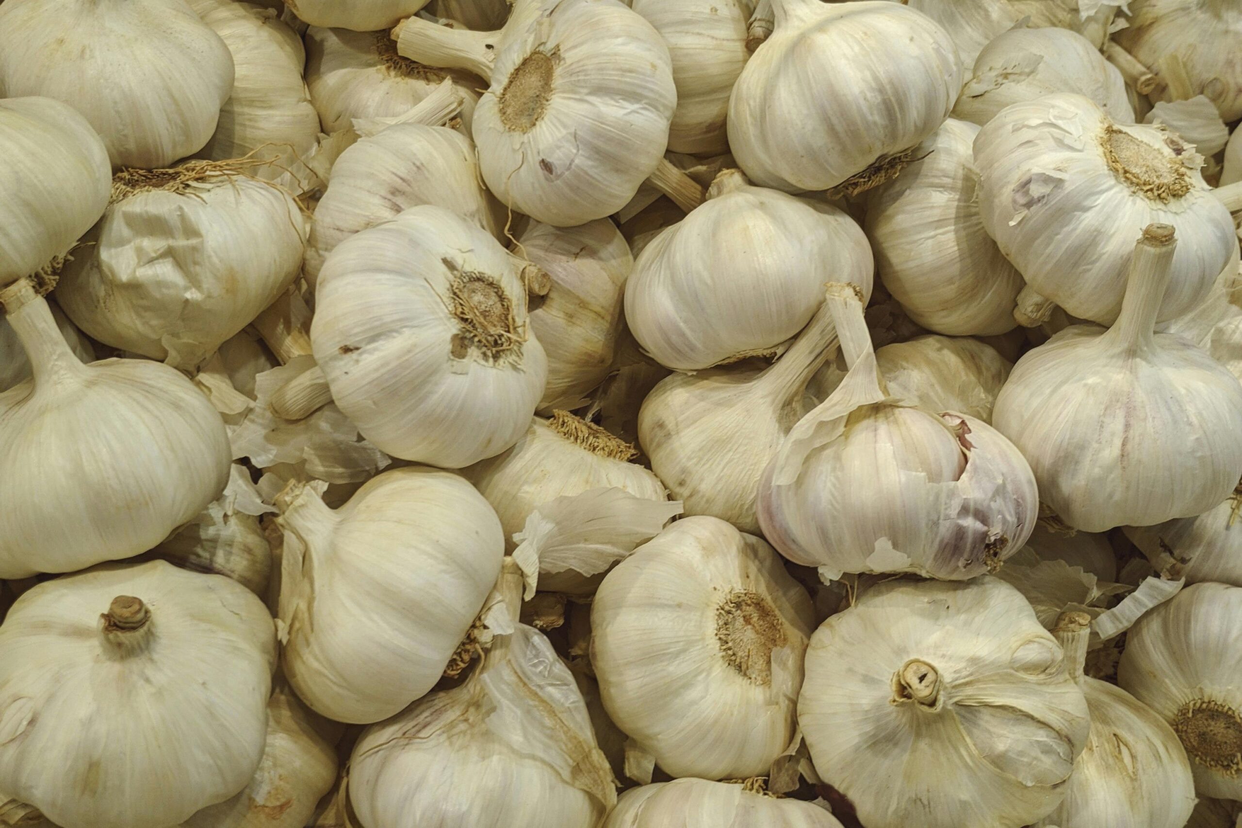 Garlic and Detoxifying Your Body: Nature’s Potent Cleanser