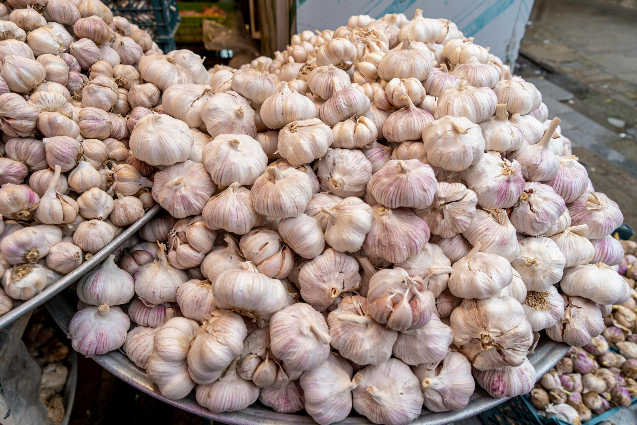 Garlic and Its Antibacterial Properties: A Natural Defense