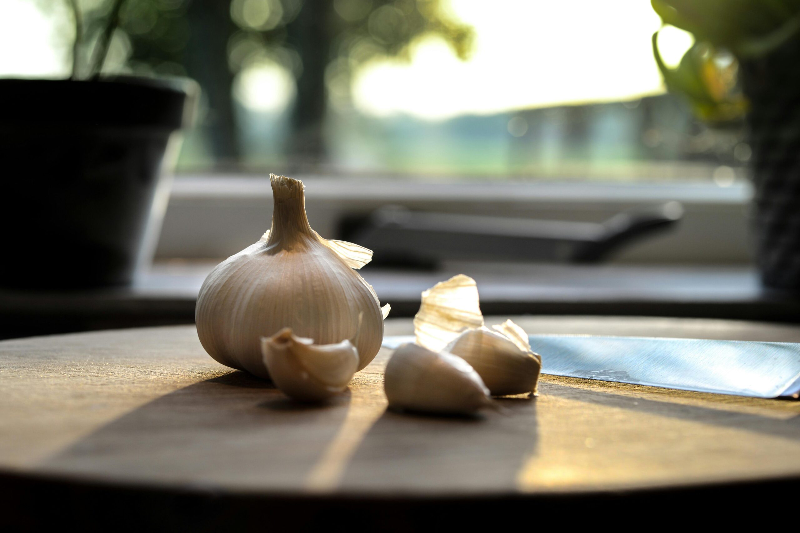 How to Grow Garlic at Home: A Step-by-Step Guide