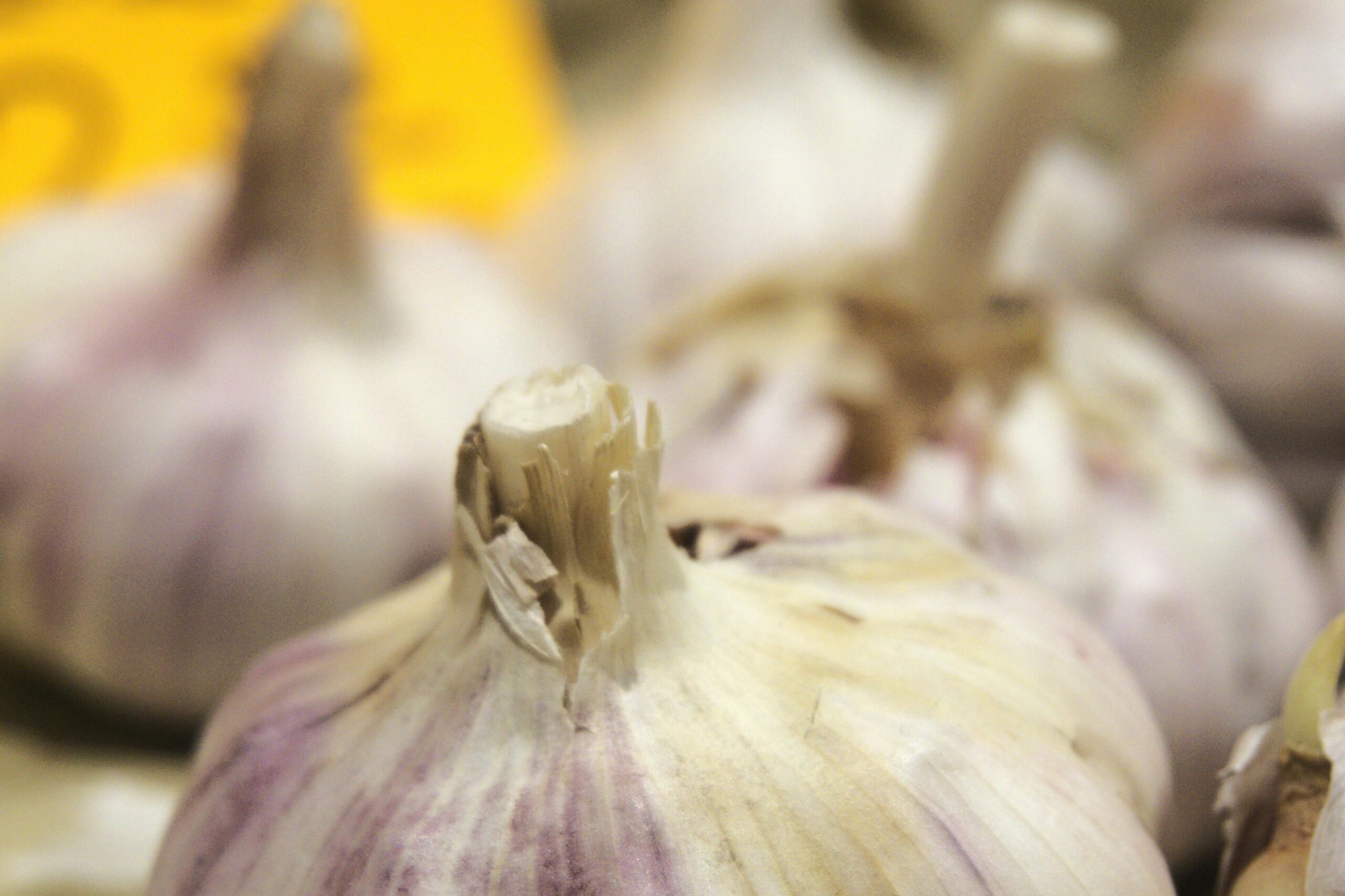Garlic in Mediterranean Cuisine: A Flavorful Journey