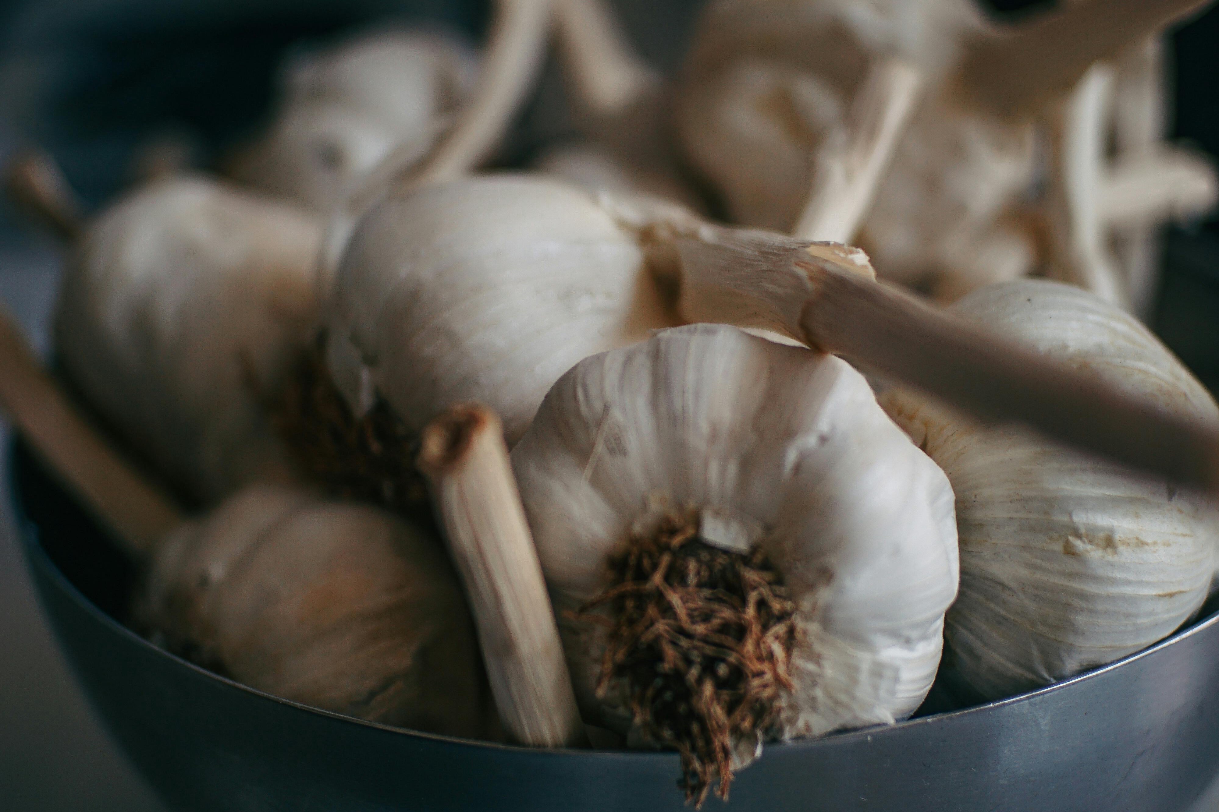 fresh garlic